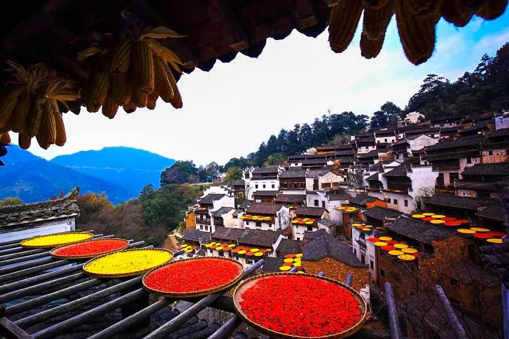 江西,红色沃土谱新篇,绿色发展绘未来