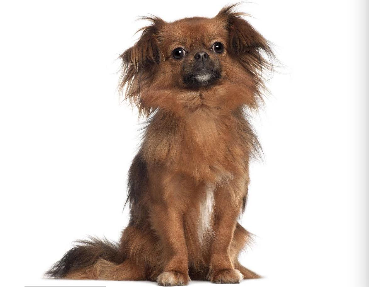 西藏,神秘美丽的雪域高原之旅