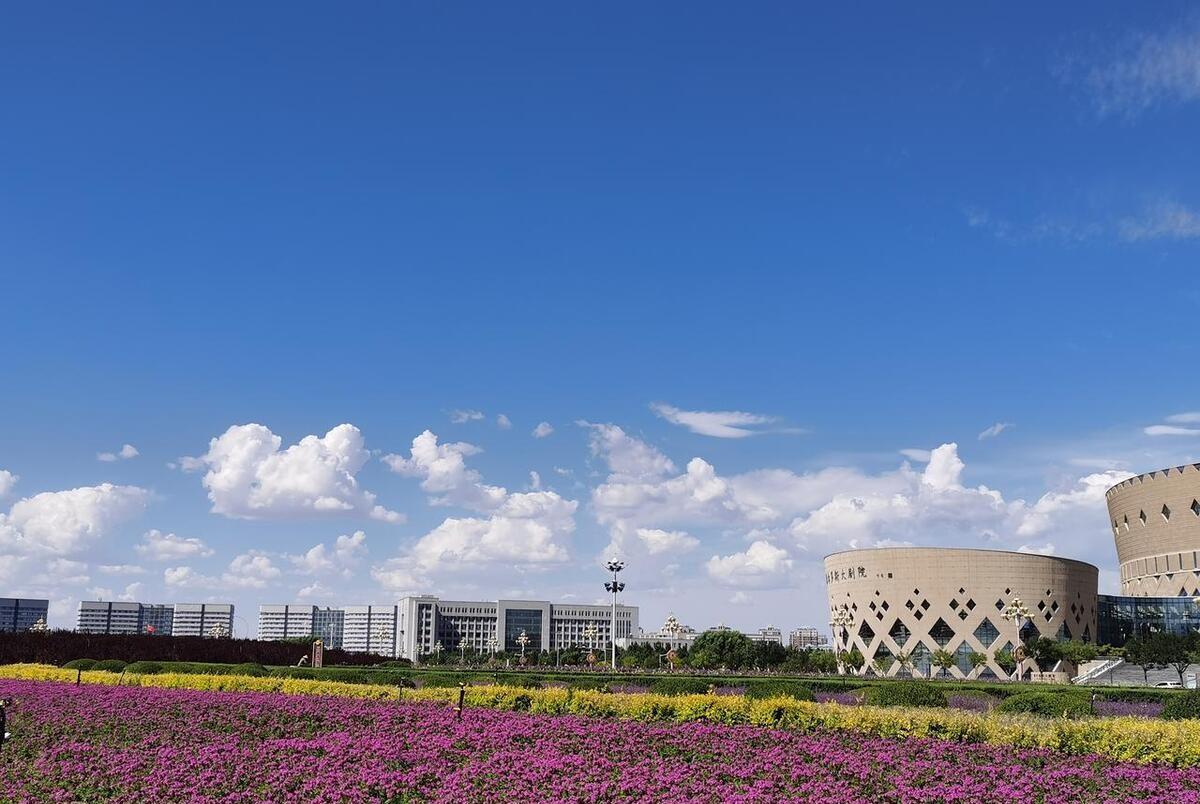 鄂尔多斯巷弄深处的独特风味,隐藏在小巷中的特色小吃店